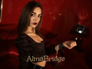 AlmaBridge