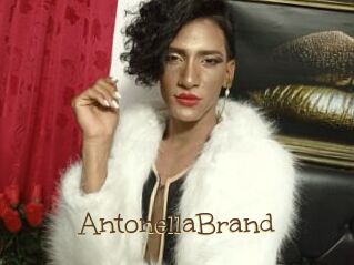 AntonellaBrand