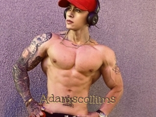 Adamscollims