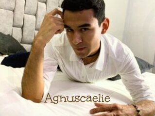 Agnuscaelie