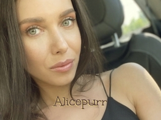 Alicepurr