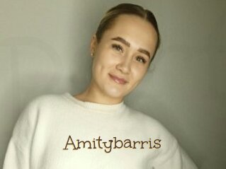 Amitybarris