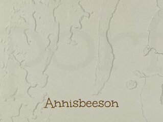 Annisbeeson