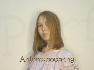 Antoniabowring