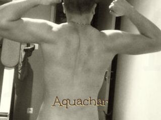 Aquachar