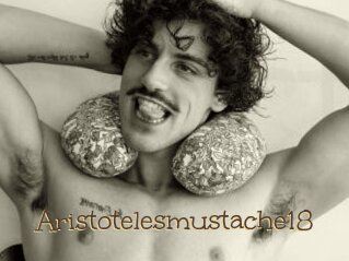 Aristotelesmustache18