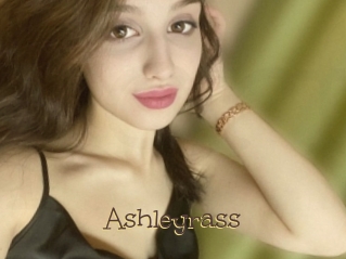 Ashleyrass