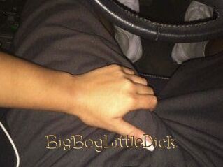 BigBoyLittleDick