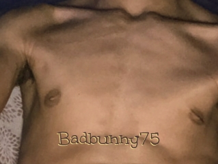 Badbunny75