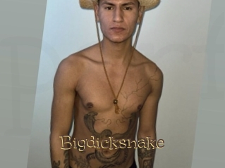 Bigdicksnake