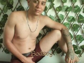 Bodsey