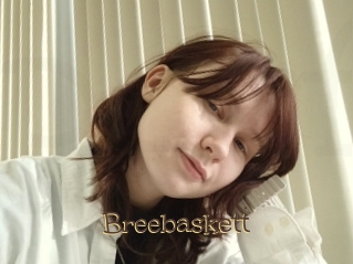 Breebaskett