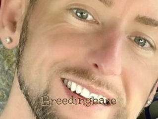 Breedingbare