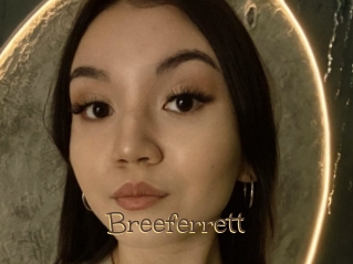 Breeferrett