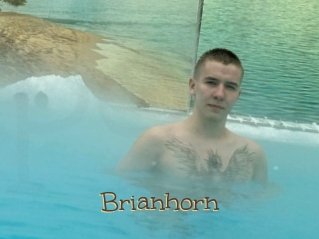 Brianhorn