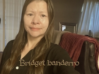 Bridget_banderro