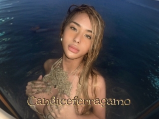 Candiceferragamo