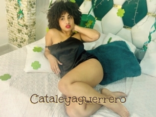 Cataleyaguerrero