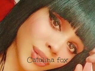 Catalina_fox