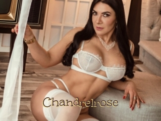 Chandrelrose