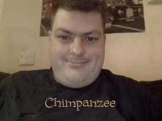 Chimpanzee