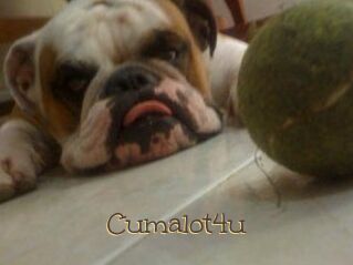 Cumalot4u