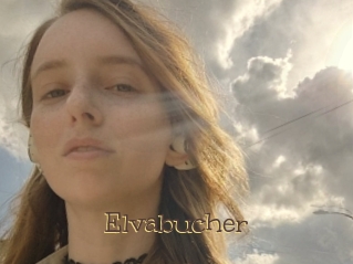 Elvabucher