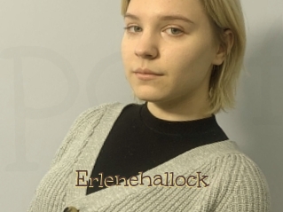 Erlenehallock