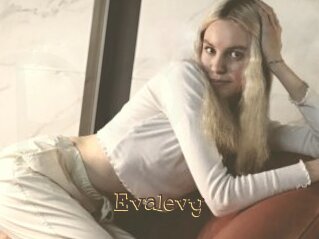 Evalevy