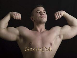 GavinColt