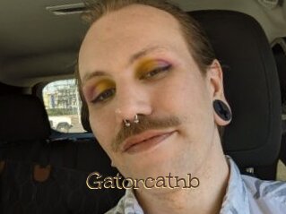 Gatorcatnb