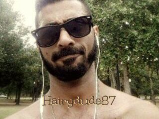 Hairydude87