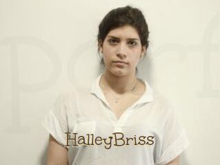 HalleyBriss