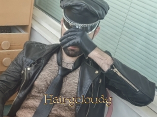 Hairycloudy