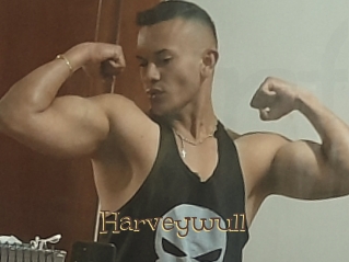 Harveywull