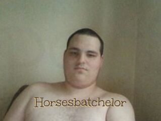 Horsesbatchelor