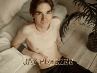 JAY_BREEZEE