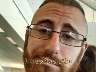 Jakesbigsnake