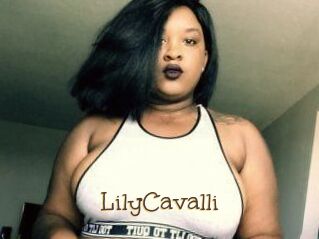 Lily_Cavalli