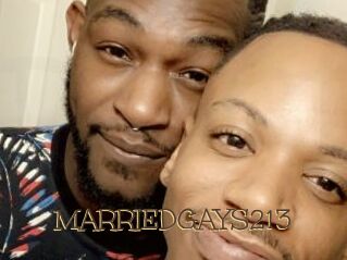 MARRIEDGAYS213