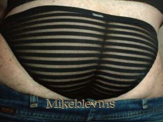 Mikeblevins