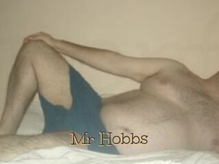 Mr_Hobbs