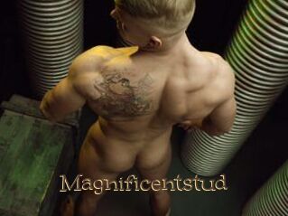 Magnificentstud