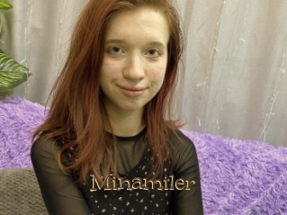 Minamiler