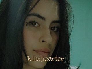 Minjicarter