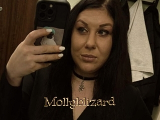 Mollyblizard