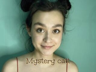 Mystery_catt