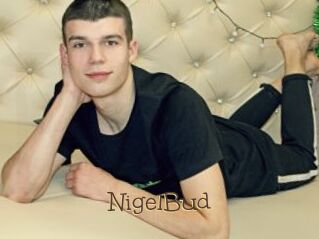 NigelBud