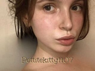 Pettitekitty1107