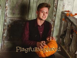 Playfulboydavid